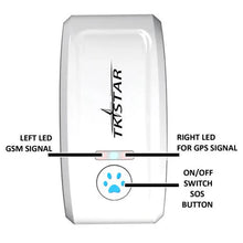 Cat GPS Tracker Locator Device for Pets ( UAE Delivery Time: 1-3 Days )
